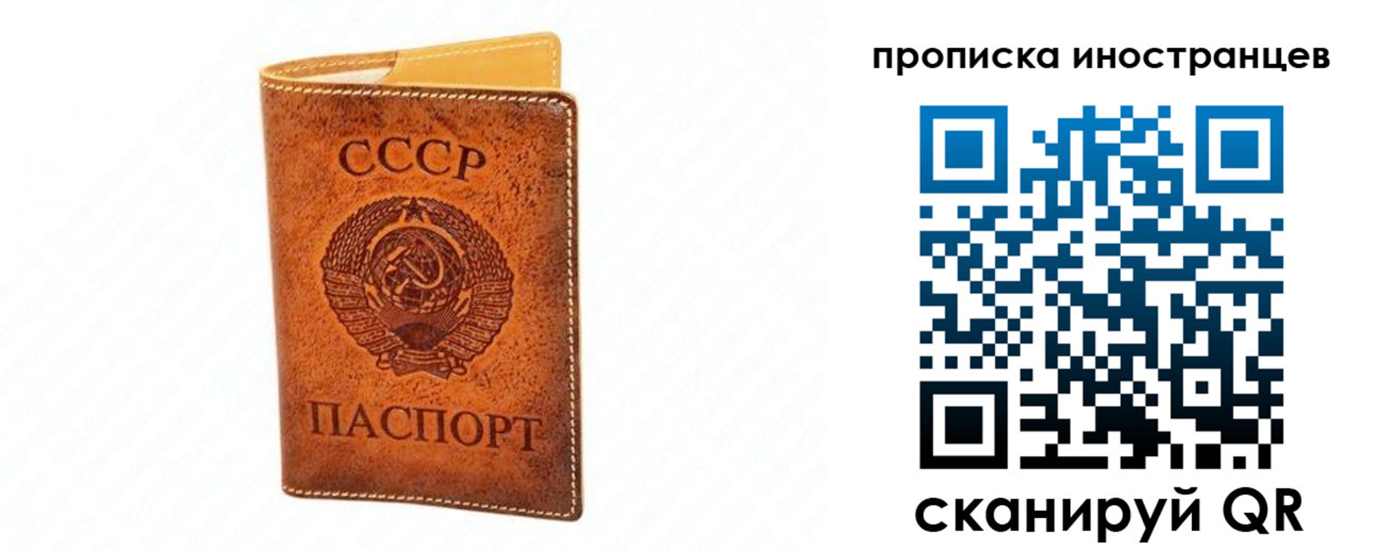 прописка для школы в Кемеровской области